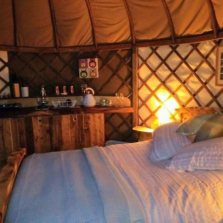 Bembridge Harbour Yurt - Log Burner - Wifi Vila Exterior foto